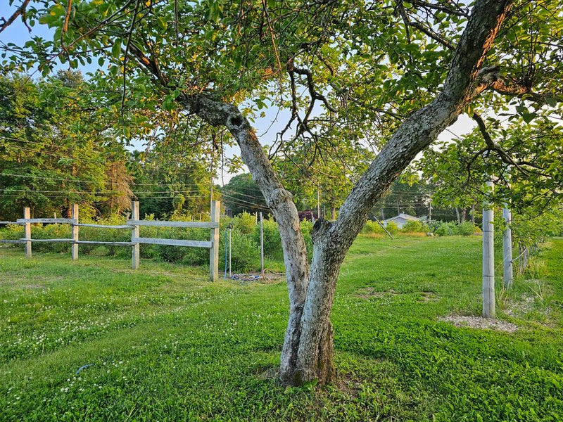 Gatherings at the farm